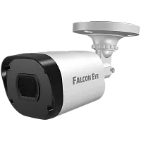 Видеокамера сетевая (IP) FE-IPC-BP2e-30p